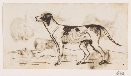 Hunting Dog