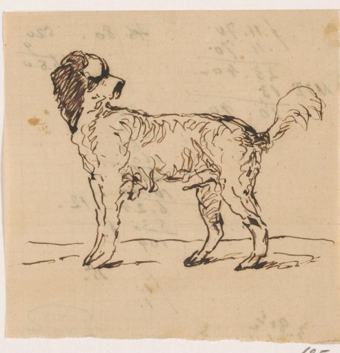 Hunting Dog