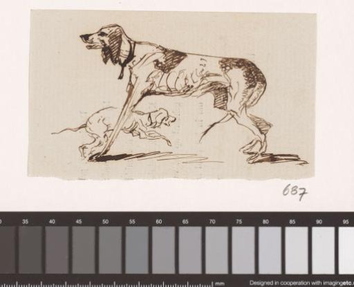 Hunting Dog