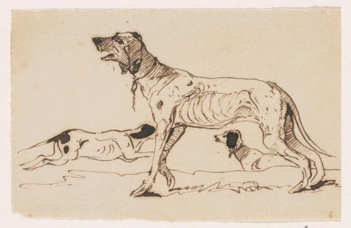 Hunting Dogs