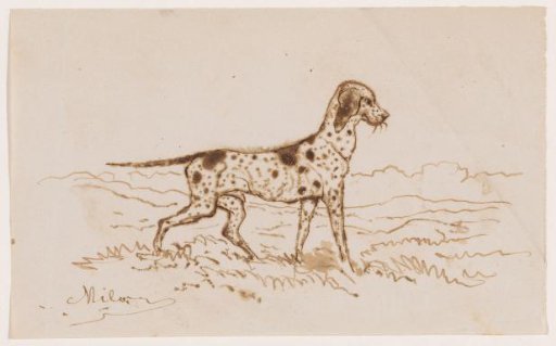 Hunting Dog