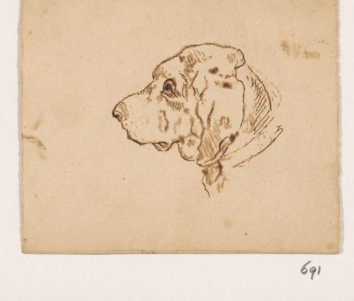 Head of a Hunting Dog