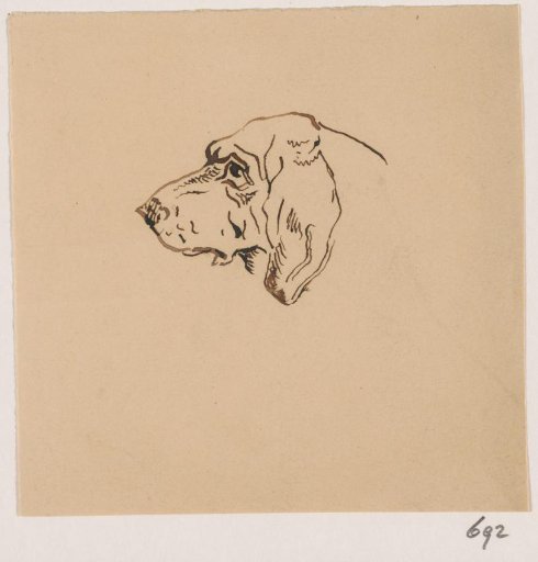 Head of a Hunting Dog