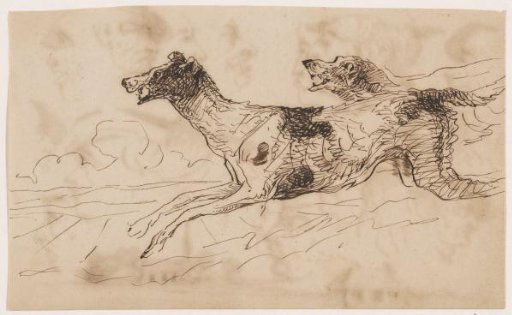 Two Hunting Dogs in the Field