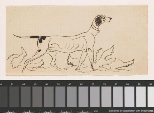 Hunting Dog