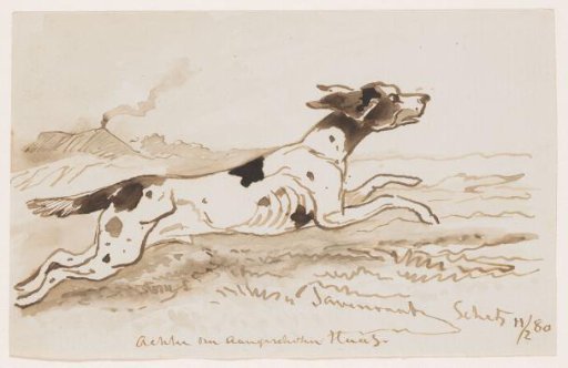Behind a Wounded Hare