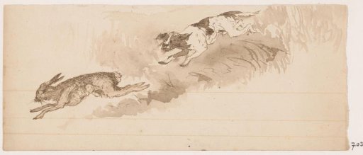 Hunting dog chasing a hare