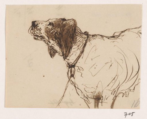Hunting dog