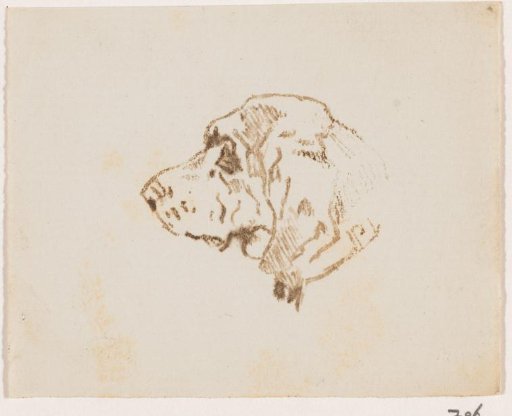 Head of a hunting dog