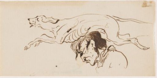 Hunting dog and head