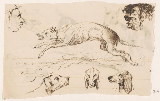 Hunting dogs and heads