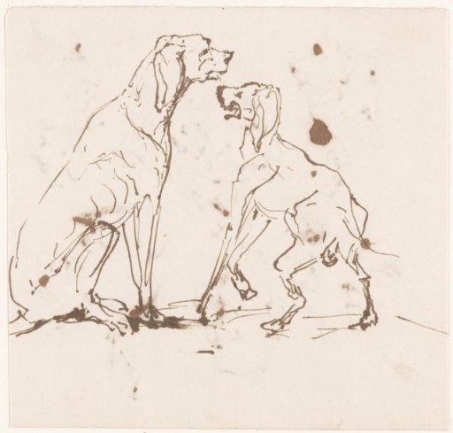 Two dogs