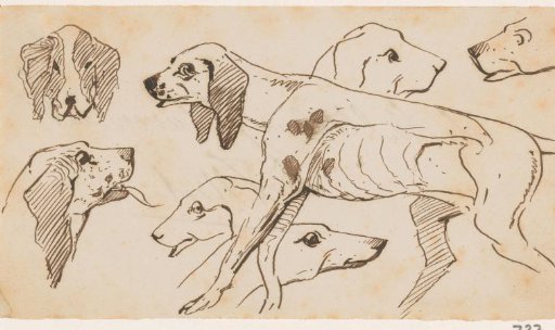 Dog and dog heads