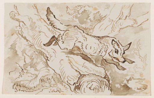 Wolf or fox