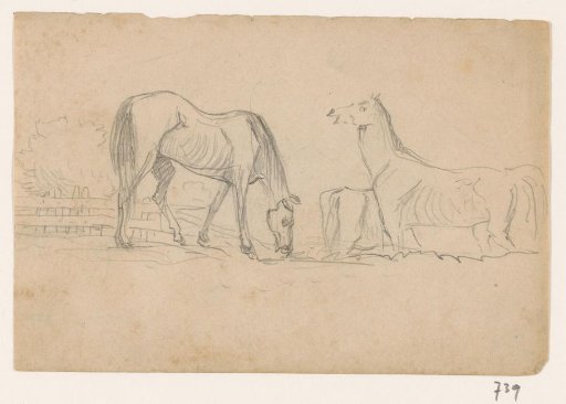 Grazing horses