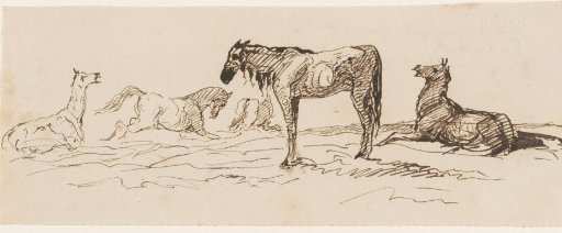Horses in a meadow