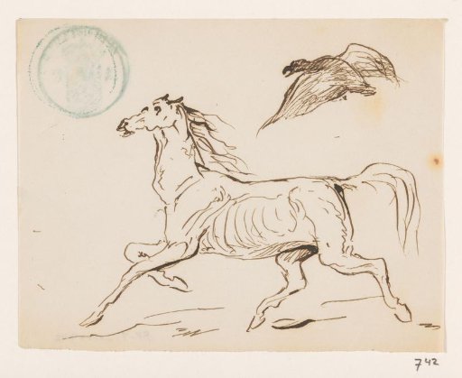 Horse and bird