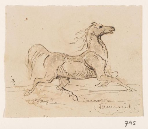 Saddled horse, in trot