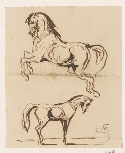 Two horses