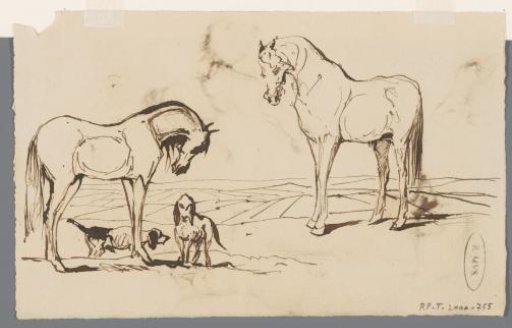 Horses and dogs
