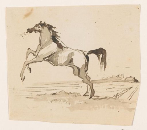 Leaping horse, in the field