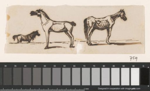 Horses