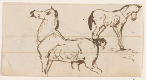 Horses