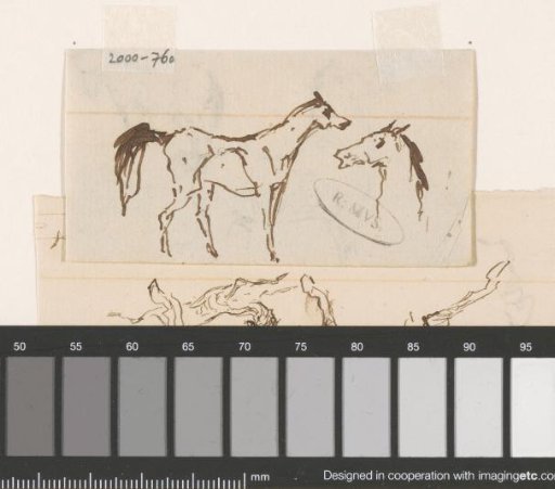 Horses