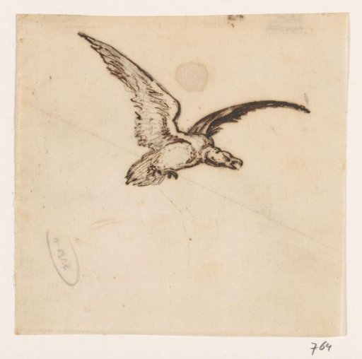 Bird of prey