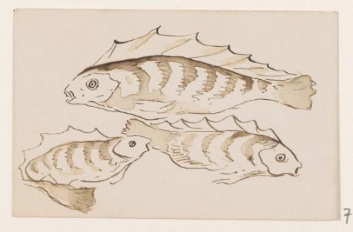 Three perch