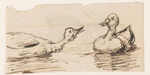 Two ducks