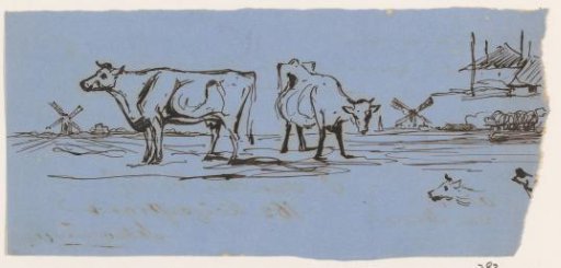 Cows in a meadow