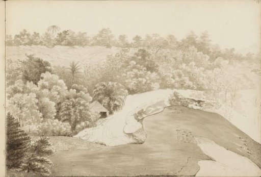 Landscape with palm trees, probably in the Dutch East Indies