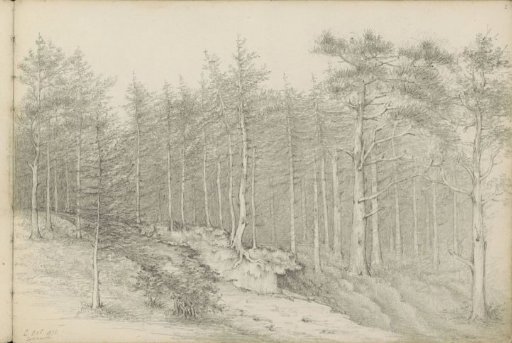 Woodscape at Lockhorst at Leusden