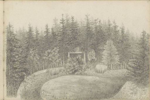 Landscape with a path and trees around a pond