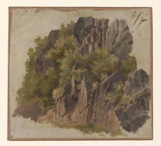 Rocks and vegetation
