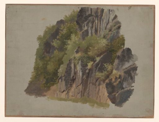 Rocks and vegetation