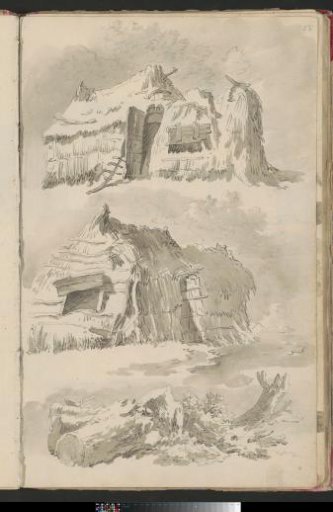 Barn and felled trees