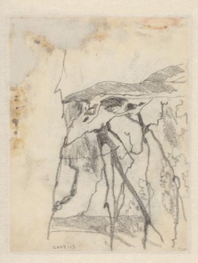 Tree study
