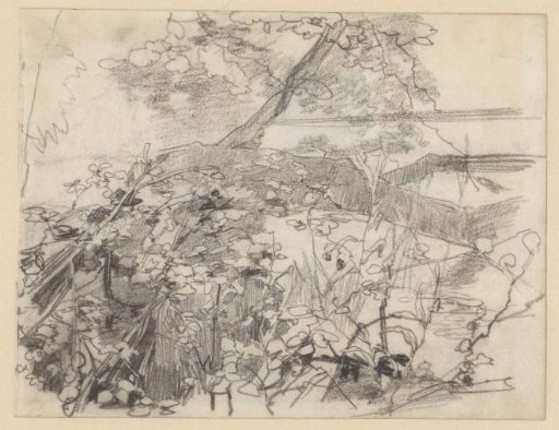 Landscape with a fallen tree