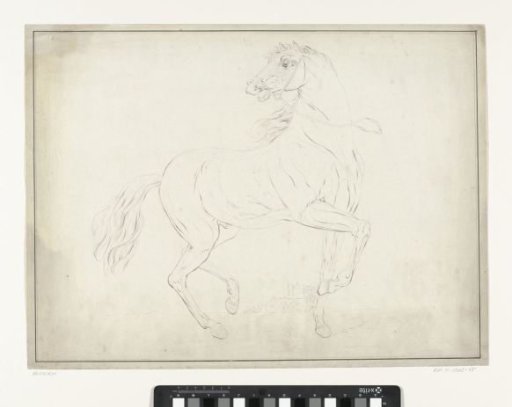 Study of a walking horse in a landscape