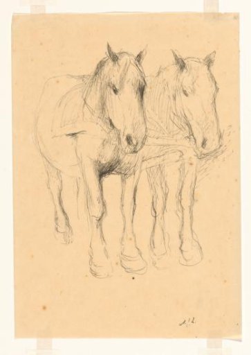 Two horses