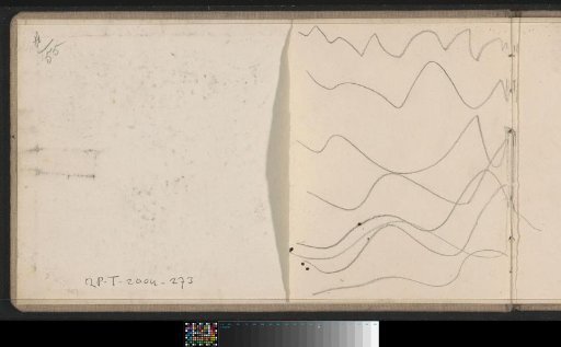 Wavy Lines