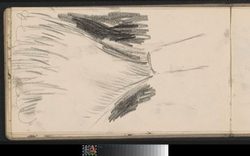 Study