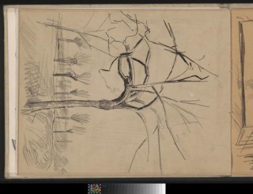 Landscape with pollarded willows