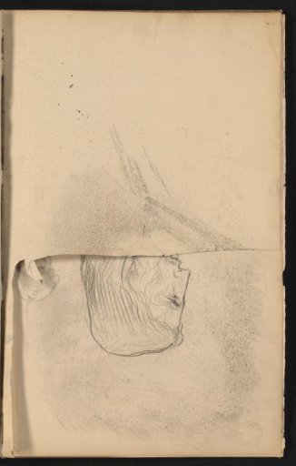 Study