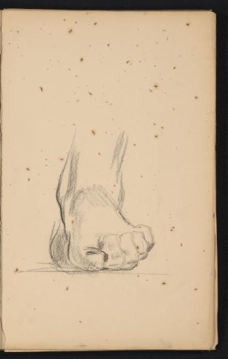 Foot