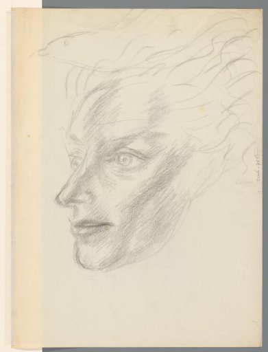 Head with a bird in the hair