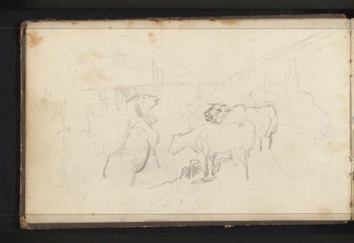 Goat and two cows