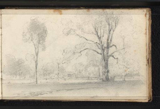 Landscape with trees